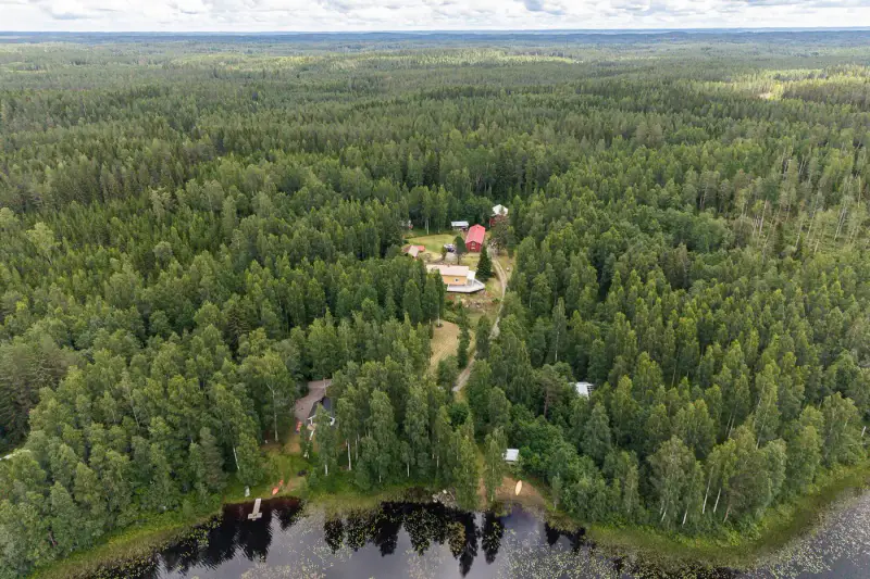 Maison en rondins 1912 ~150 m² + dépendances, 5 ha et ~220 m de rive privée Majavesi — Kyrönlahti / Ylöjärvi — 1