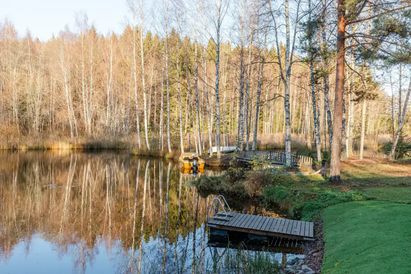 Maison 1986 rénovée + chalet d’invités et sauna de rive, 5 900 m² et 50 m de rive sur le Näsijärvi — Antaverkka, Ylöjärvi — 17