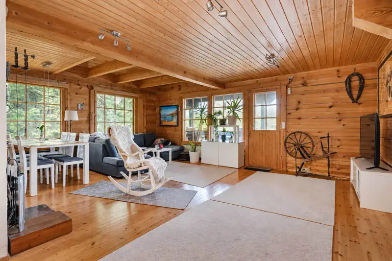 Maison bois ~121 m² (1992) + sauna, 3 470 m² (~45 m rive), Vankavesi — Kuru / Ylöjärvi — 2